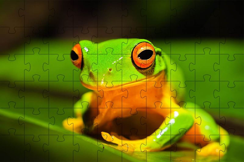 17476815769228
