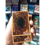 17479517027614