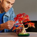 LEGO---Botanicals---Bonsai-de-Bordo-japones-Vermelho---10348-5