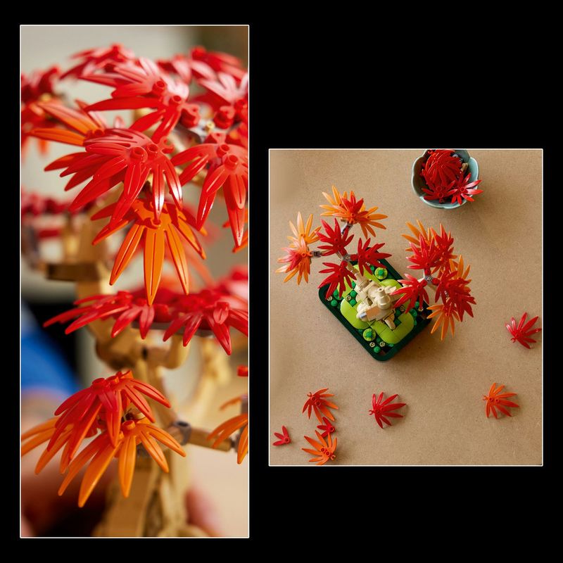LEGO---Botanicals---Bonsai-de-Bordo-japones-Vermelho---10348-9