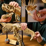 LEGO---Jurassic-World---Fosseis-de-Dinossauros--Tyrannosaurus-rex---76968-9