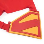Fantasia---DC---Superman---Roleplay---Sunny-7