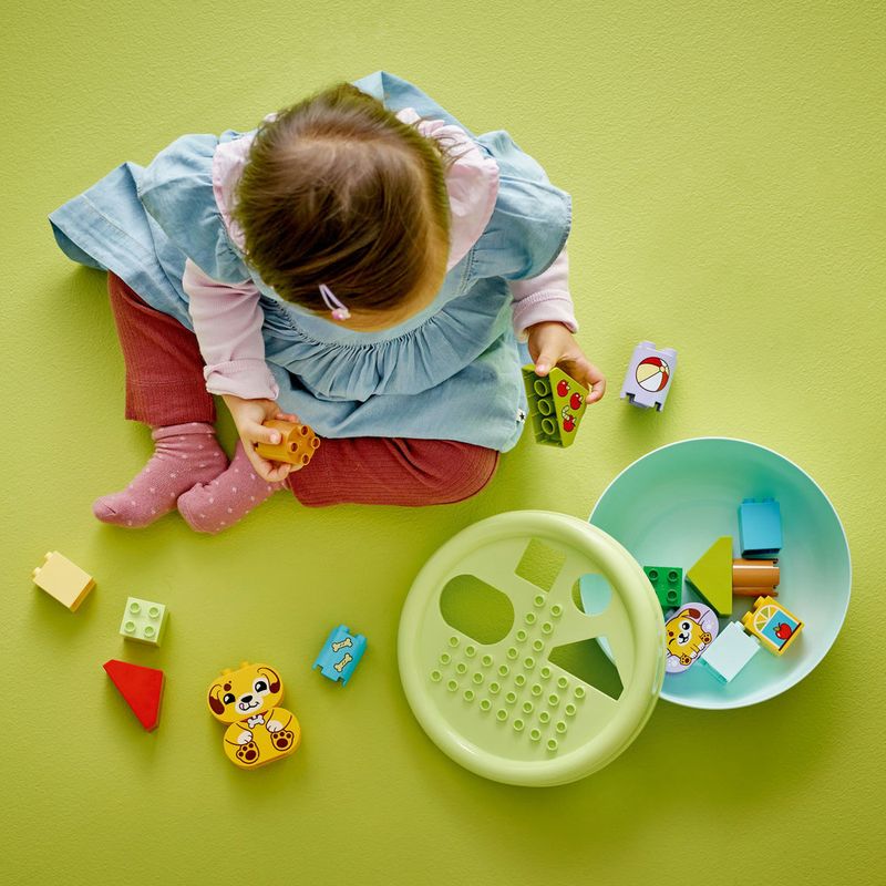 LEGO---DUPLO-My-First---Organizador-de-Formas--Casa-de-Cachorrinho---10441-3