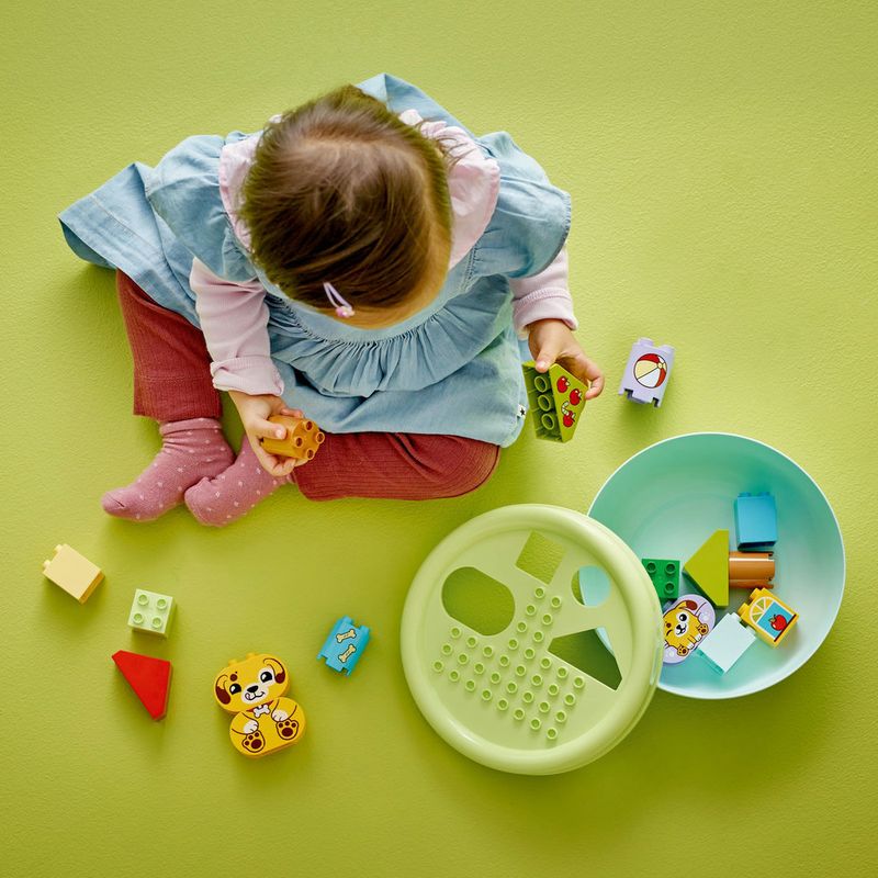 LEGO---DUPLO-My-First---Organizador-de-Formas--Casa-de-Cachorrinho---10441-8