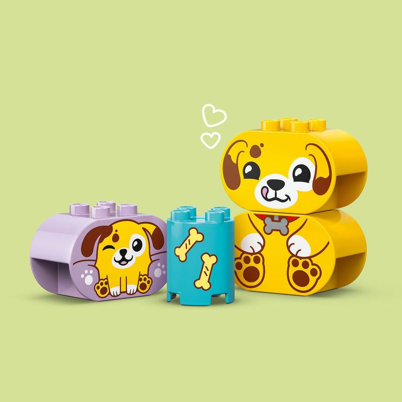 LEGO---DUPLO-My-First---Organizador-de-Formas--Casa-de-Cachorrinho---10441-11