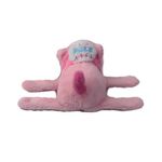Pelucia---Pulseira-Capivara---Classica---Sortida---Bbr-Toys-9