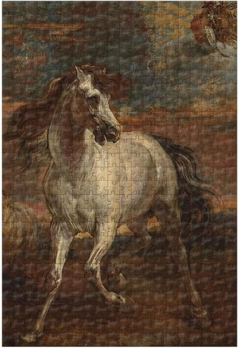17502483223081