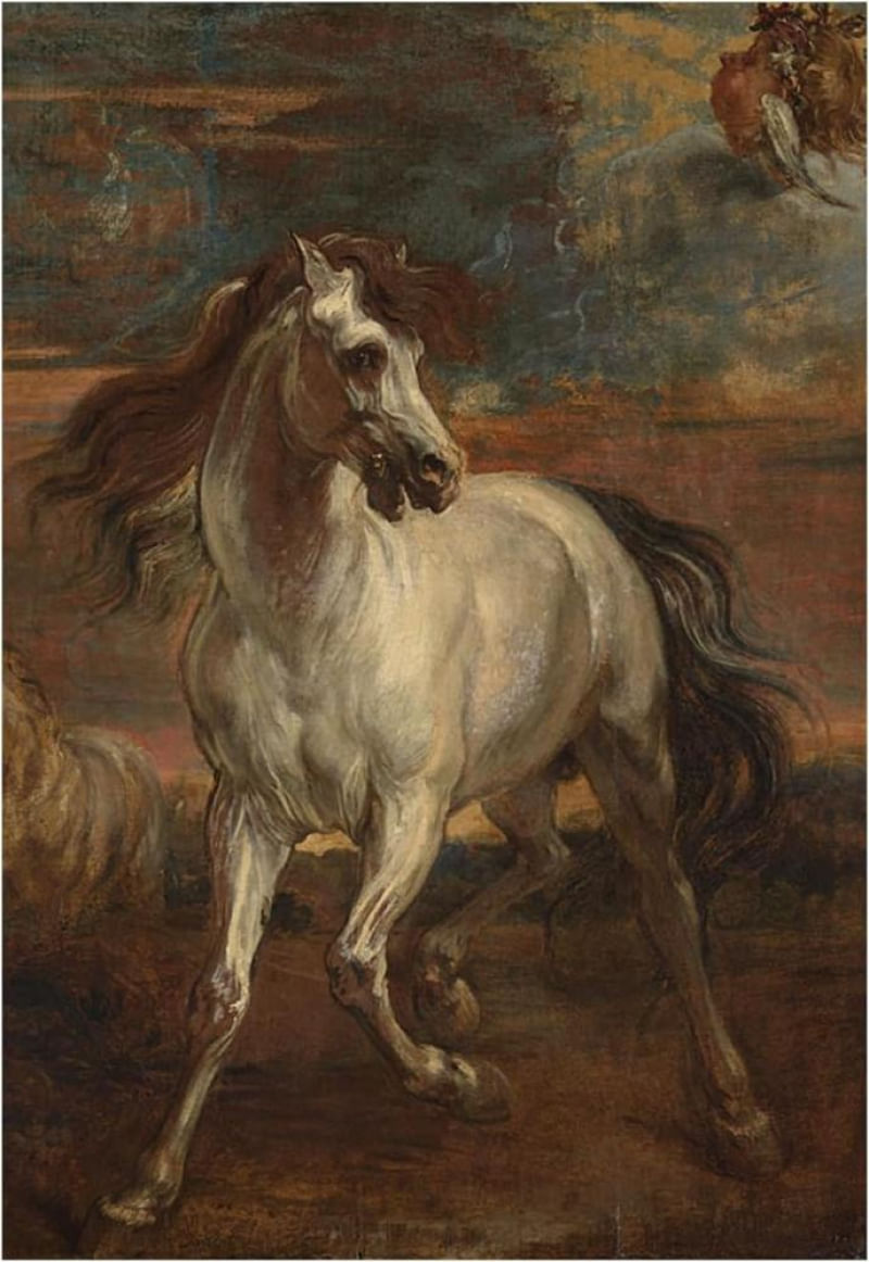 17502483164343