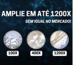 17502619504504