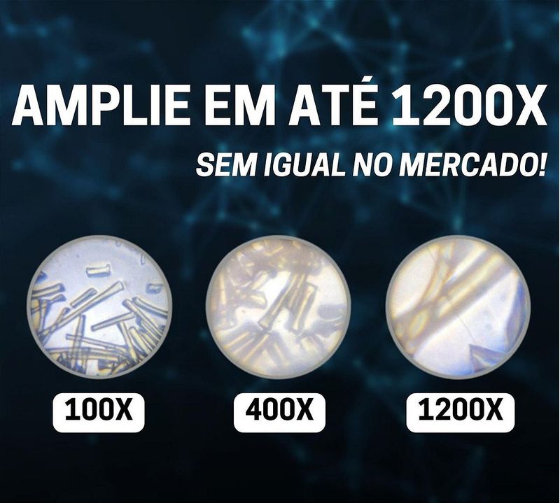 17502619504504