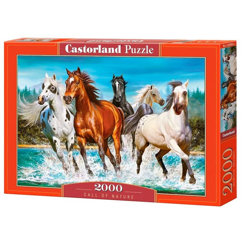 17507054143741