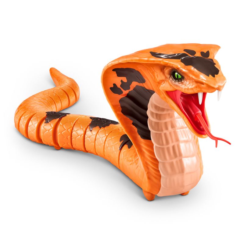 Robo---Alive---King-Cobra---Candide-0