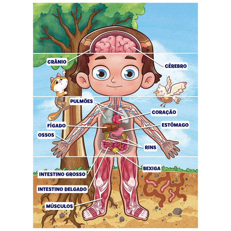 Quebra-Cabeca---Corpo-Humano---100-Pecas---Grow-1