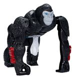 17520050872061