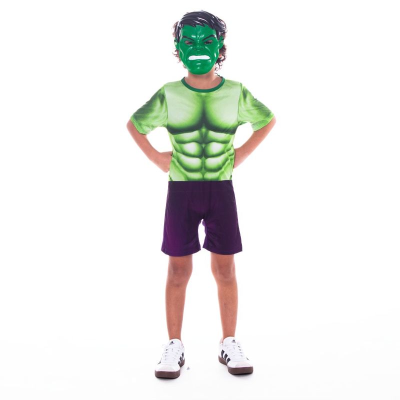 Fantasia-Basica---Hulk---Tam-M---Novabrink-0
