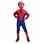 Fantasia---Marvel---Homem-Aranha---Classica---Tamanho-P---Novabrink-0