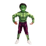 Fantasia-Classica---Hulk---Tam-G---Novabrink-1