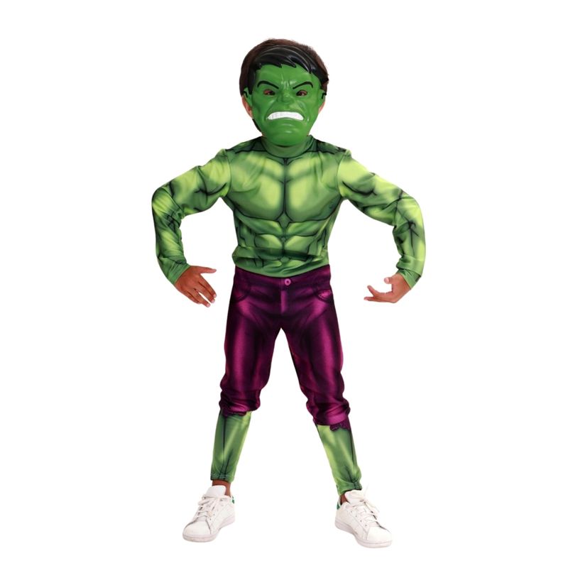 Fantasia-Classica---Hulk---Tam-G---Novabrink-1