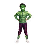 fantasia-hulk-classica-m-novabrink-0