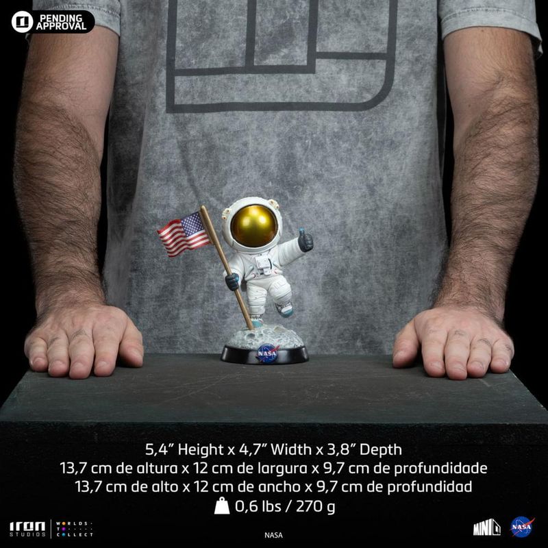 17525283887339