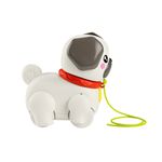 Brinquedo-Para-Bebes---Pug-Passeia-Comigo---Fisher-Price-1