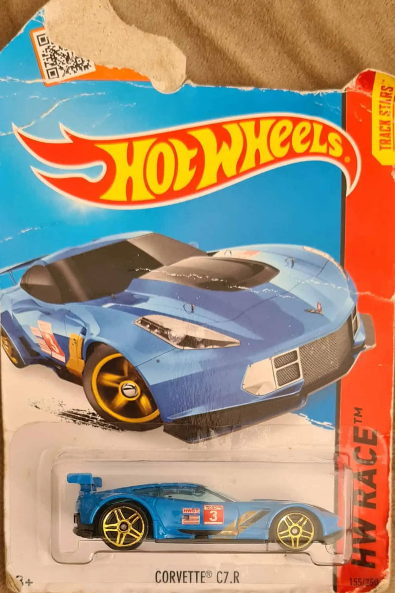 17366205119001