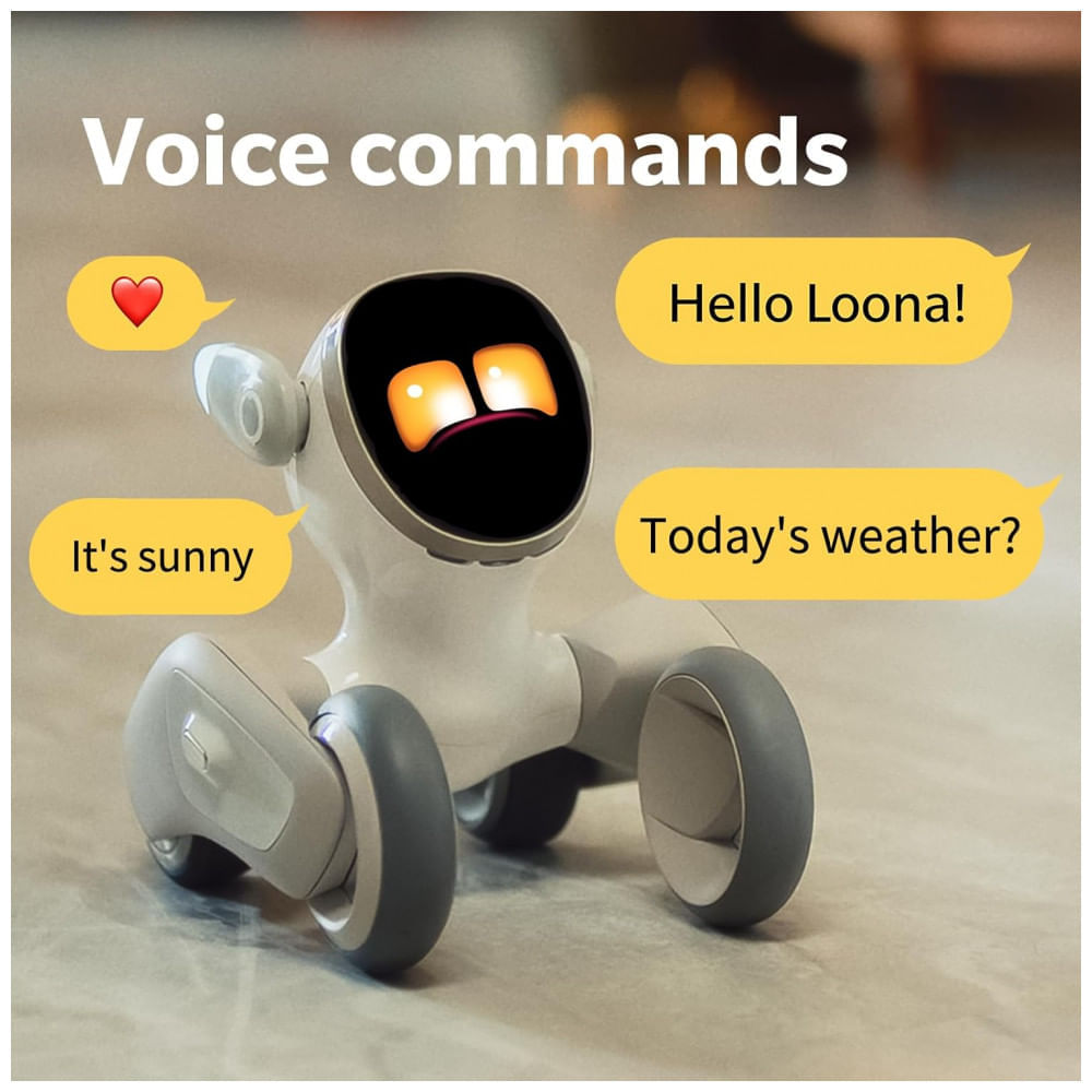 17573522278575.jpg?v=